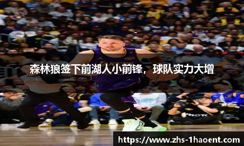 森林狼签下前湖人小前锋，球队实力大增